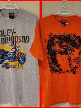 Lot Of 2 Harley-Davidson Men’s Graphic T-Shirt - Gray & Orange Size Largw